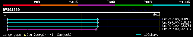 alignment