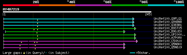 alignment