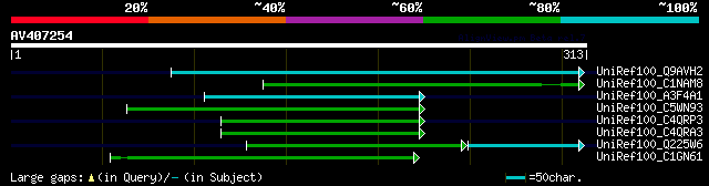 alignment