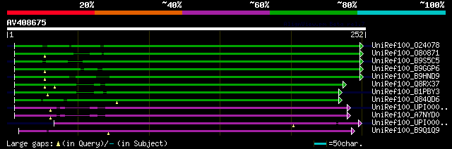 alignment