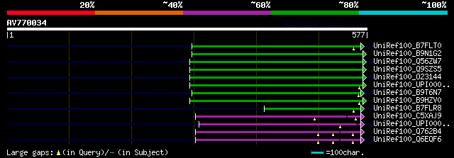 alignment