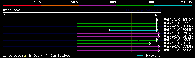 alignment