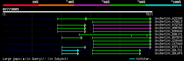 alignment