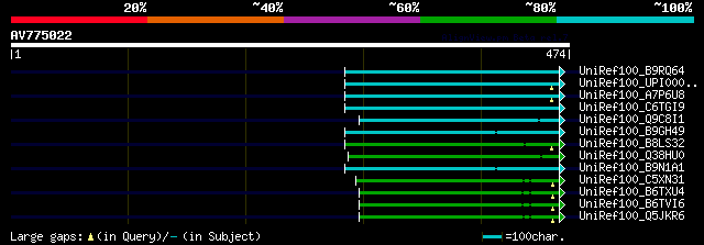 alignment