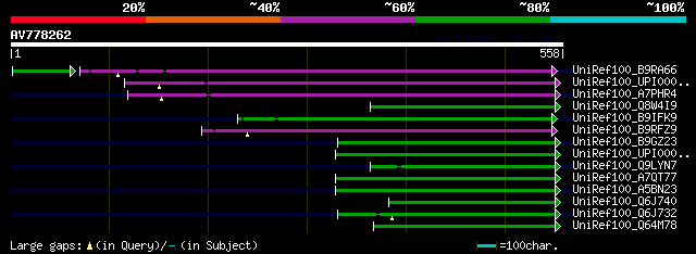 alignment