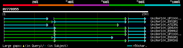 alignment