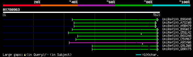 alignment