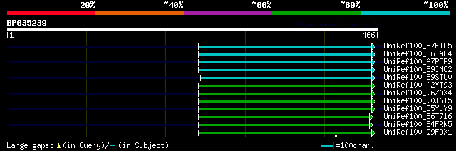 alignment