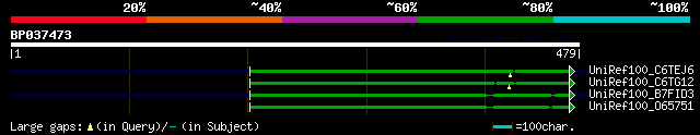 alignment