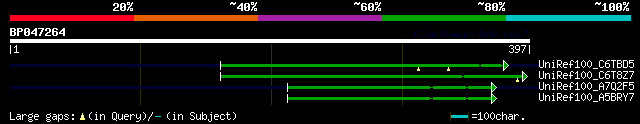 alignment