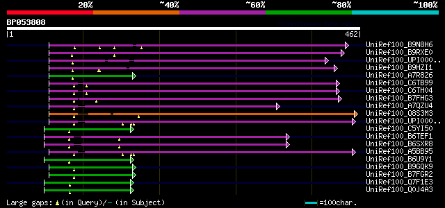 alignment