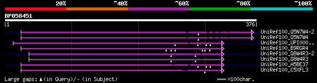 alignment