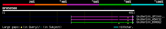 alignment