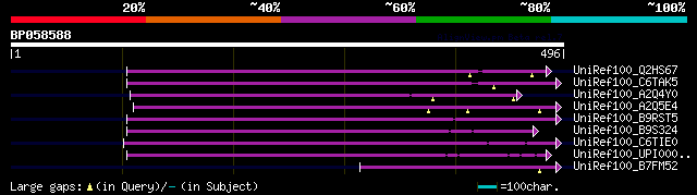 alignment