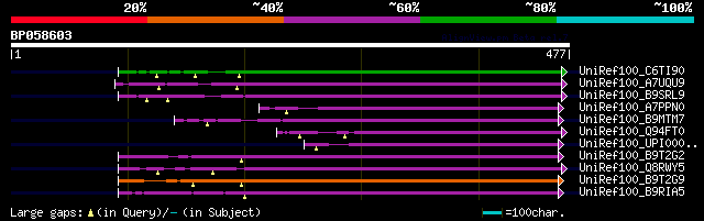 alignment