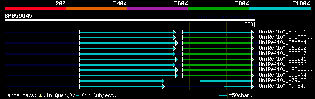 alignment