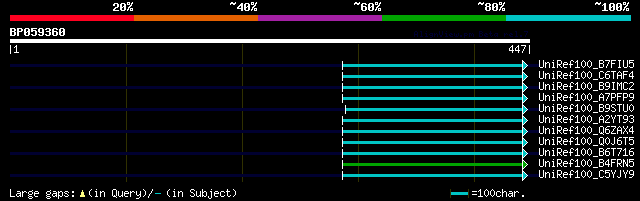 alignment