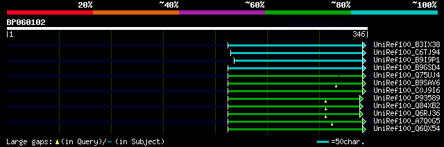 alignment