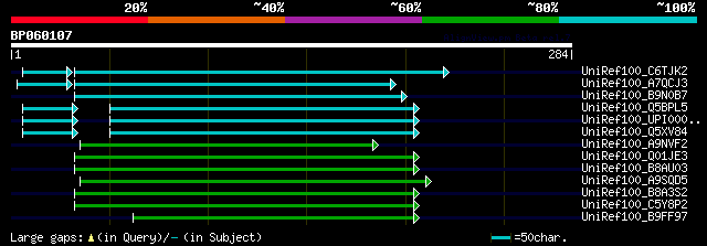 alignment