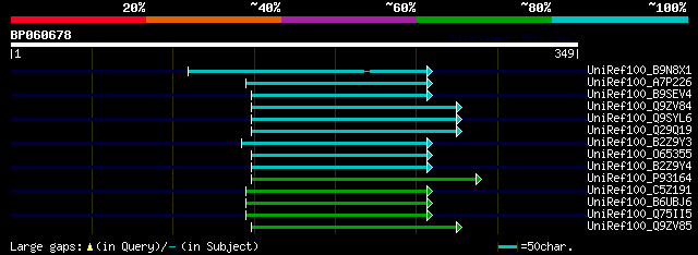 alignment