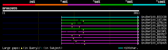 alignment