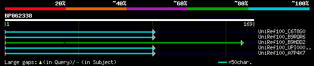 alignment