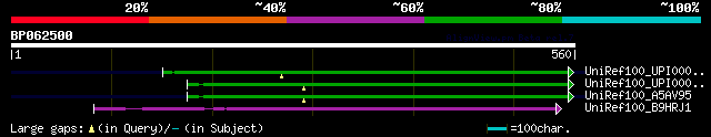 alignment