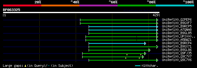 alignment