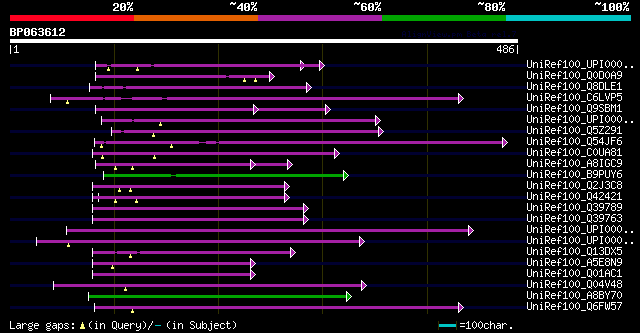 alignment