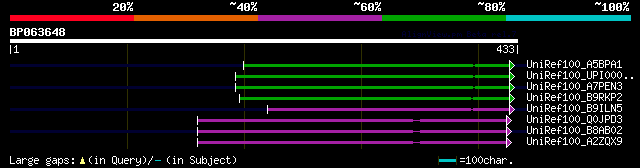 alignment