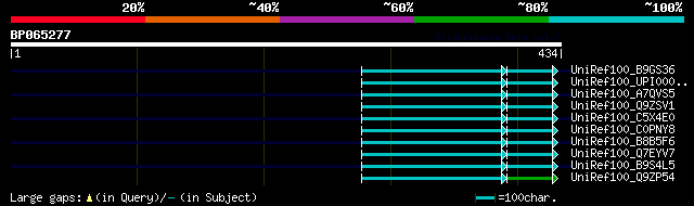 alignment