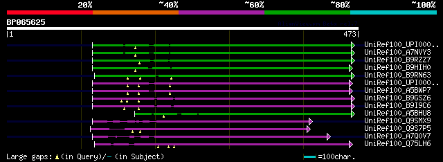 alignment