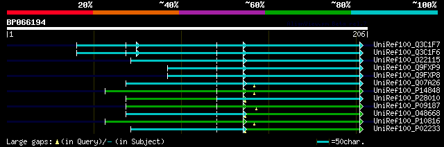 alignment