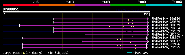 alignment