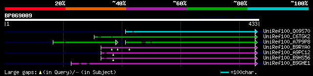 alignment