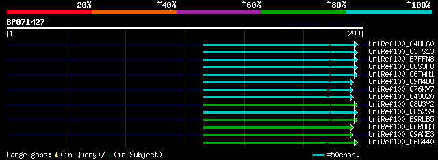 alignment