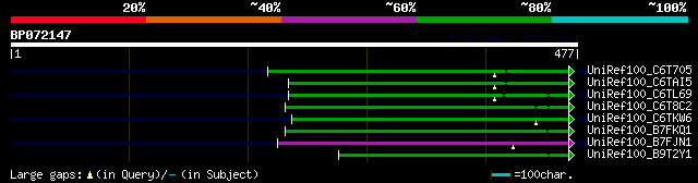 alignment