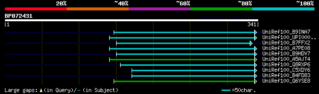 alignment