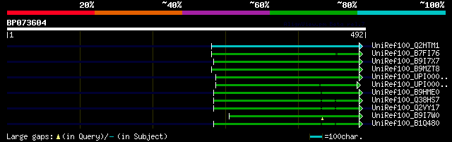 alignment