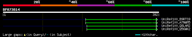 alignment