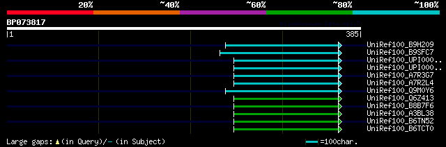 alignment