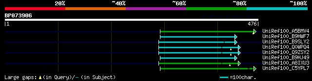 alignment