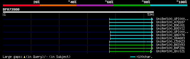 alignment