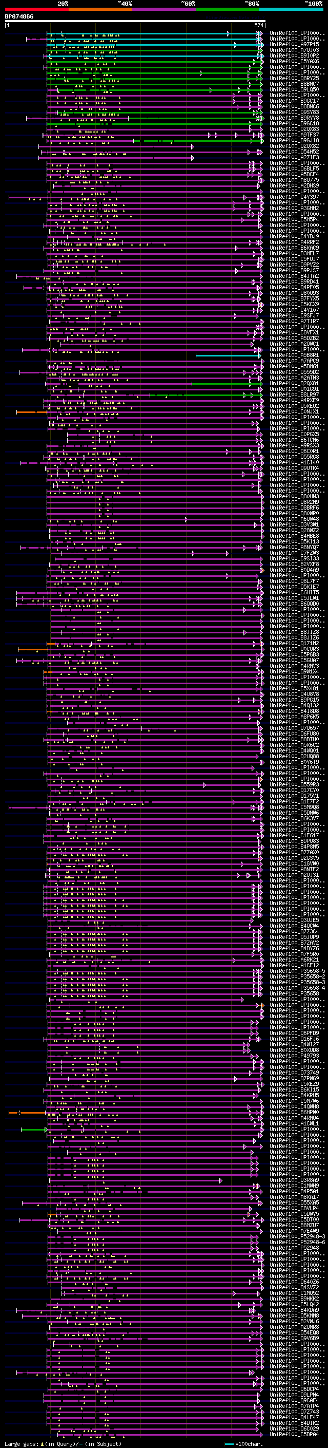 alignment