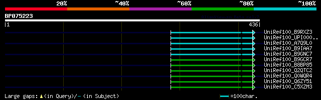 alignment