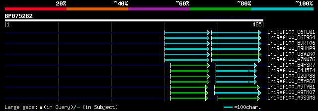 alignment