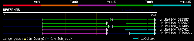 alignment