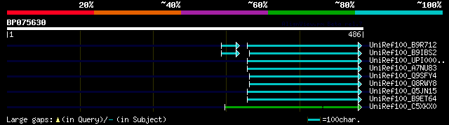 alignment