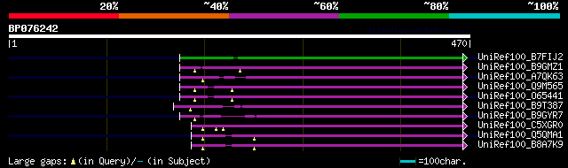 alignment