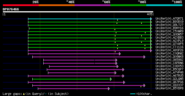 alignment